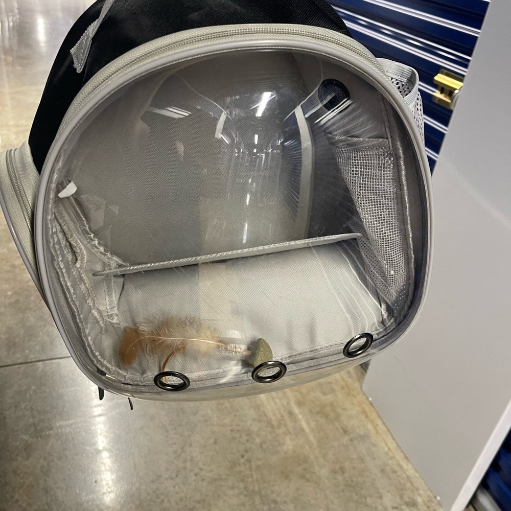 Transparent cat or small dog Carrier Backpack